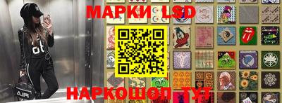 шишки Можайск