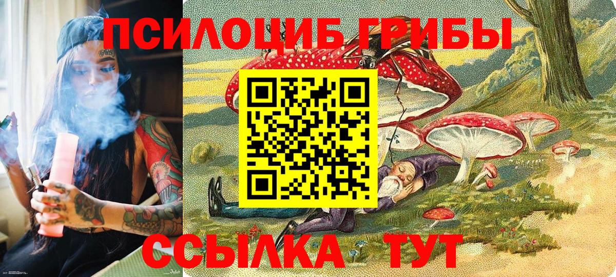 Сосновый Бор  Галлюциногенные грибы мицелий  Вход с VPN 